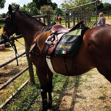 ホテル Castello Cortevecchio グッビオ